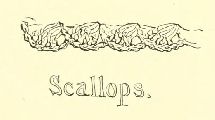 Scallops1.jpg